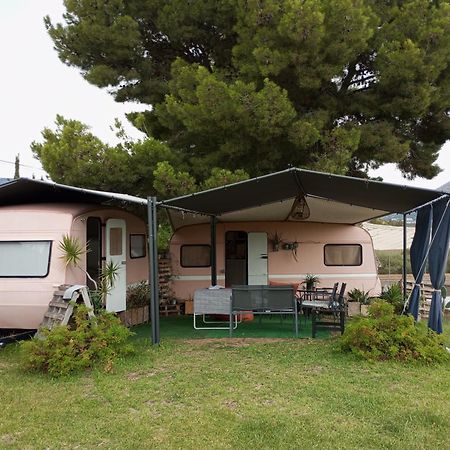 Caravana- Glamping Casa Tortuga La Nucía エクステリア 写真