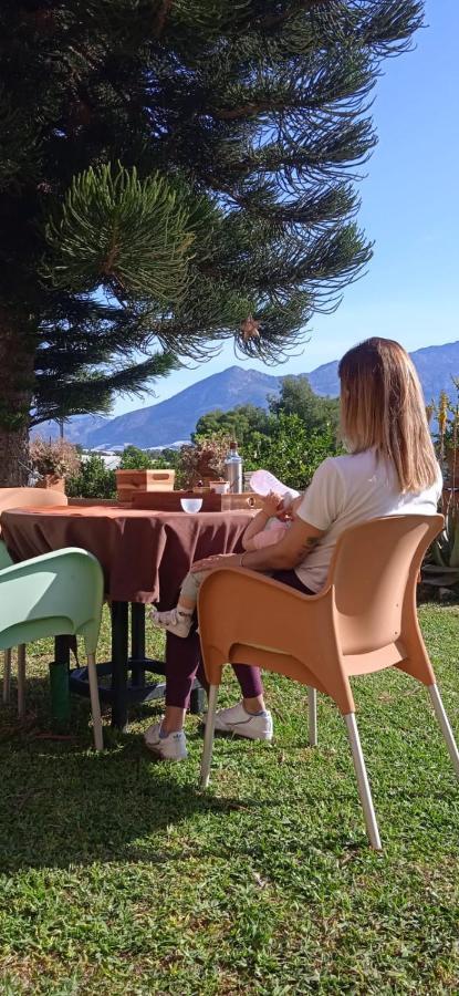 Caravana- Glamping Casa Tortuga La Nucía エクステリア 写真