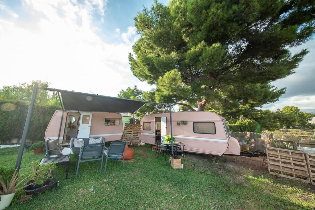 Caravana- Glamping Casa Tortuga La Nucía エクステリア 写真